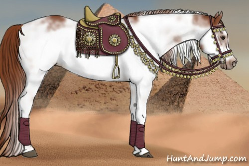Horse Color: Liver Chestnut Sabino Frame 