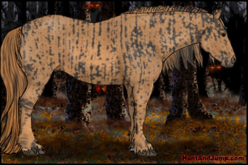 Horse Color: Unknown 