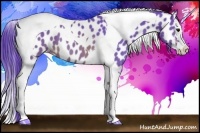 Horse Color:Watercolor Brown Splash Tobiano Near Leopard 
