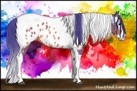 Horse Color:Watercolor Bay Splash Tobiano Blanket 