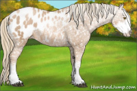 Horse Color:Liver Chestnut Pearl Mushroom Sabino Blanket 