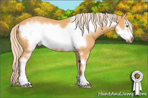 Horse Color: Chocolate Palomino Mushroom Sabino Frame 
