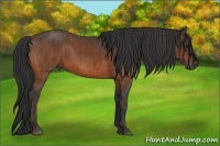 Horse Color:Bay  Brindle