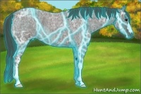 Horse Color:Thunderstruck Smoky Blue Ice Roan 