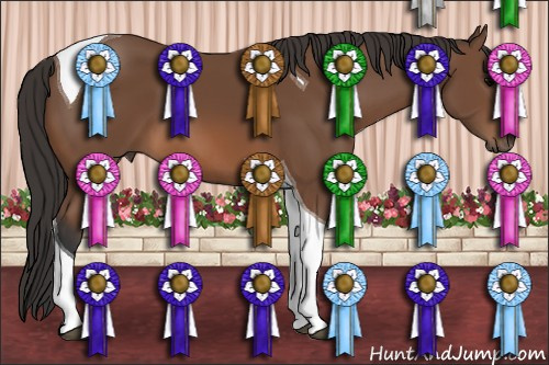 Horse Color: Bay Tobiano 