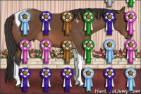 Horse Color:Bay Tobiano 