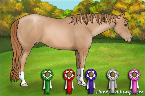 Horse Color: Liver Chestnut Pearl 