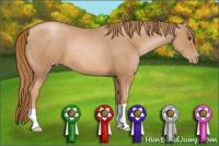 Horse Color:Liver Chestnut Pearl