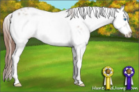 Horse Color:Liver Chestnut Frame 