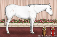 Horse Color:Liver Chestnut Frame 