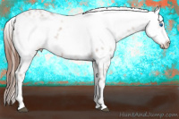 Horse Color:Liver Chestnut Frame 