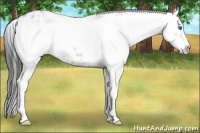 Horse Color:Black Frame 