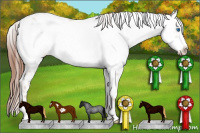 Horse Color:Liver Red Roan Frame