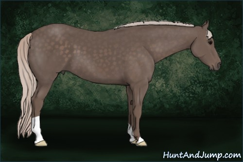 Horse Color: Silver Brown 