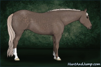 Horse Color:Silver Brown 