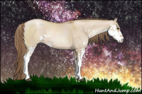 Horse Color:Grullo Pearl Sabino