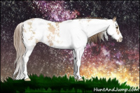 Horse Color:Grullo Pearl Sabino