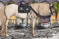 Horse Color:Red Dun Roan Pearl 