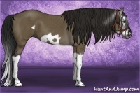 Horse Color:Gray Smoky Grullo Splash Frame 