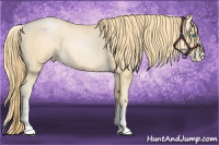 Horse Color:White Spotted Buckskin Pearl 