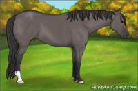 Horse Color:Smoky Grullo 