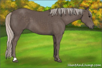 Horse Color:Silver Black 