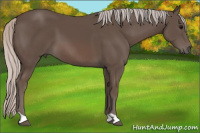 Horse Color:Silver Black 