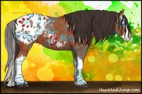 Horse Color:Bay Splash Blanket 