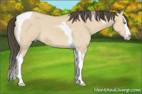 Horse Color:Amber Cream Champagne Dun Splash Tobiano 