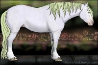 Horse Color:Gray Watercolor Gold Champagne Roan Dun Rabicano 