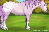 Horse Color:Gray Watercolor Gold Cream Champagne Roan Dun Splash Appaloosa 