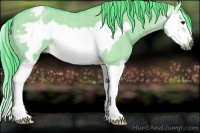 Horse Color:Gray Watercolor Red Dun Roan Splash Frame Appaloosa 