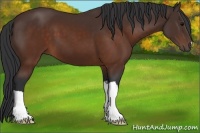 Horse Color:Brown 