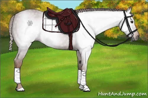 Horse Color:Gray Chestnut 