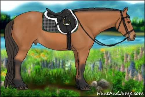 Horse Color:Bay Rabicano 