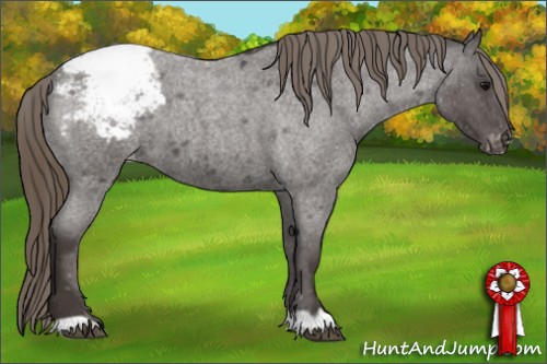 Horse Color: Smoky Blue Roan Snowcap 