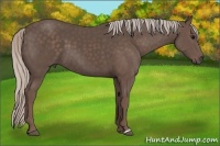 Horse Color:Silver Black 