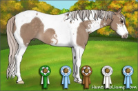 Horse Color:Silver Grullo Sabino Tobiano 