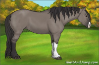Horse Color:Smoky Grullo 