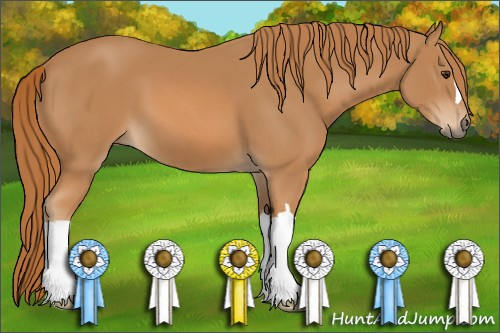 Horse Color: Chestnut 