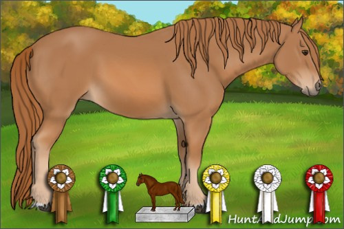 Horse Color: Chestnut 