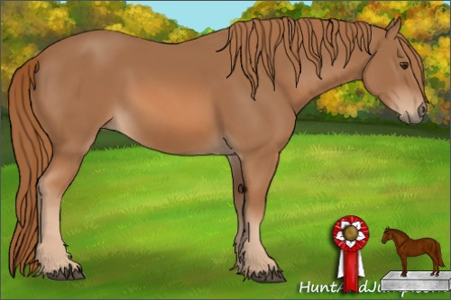 Horse Color: Chestnut 