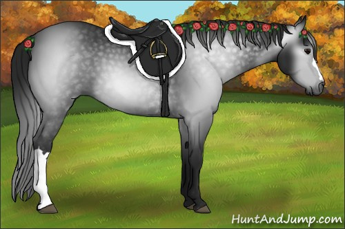 Horse Color:Gray Black 