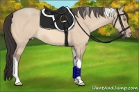 Horse Color:Amber Champagne Dun Tobiano