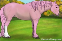 Horse Color:Watercolor Bay 