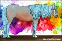 Horse Color:Gray Watercolor Bay 
