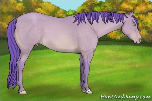 Horse Color: Watercolor Amber Cream Champagne 