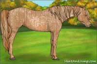 Horse Color:Chestnut Pearl  Brindle