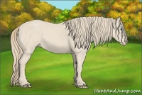 Horse Color:Smoky Creme 