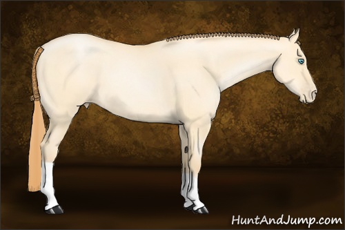 Horse Color: Buckskin Pearl Dun 